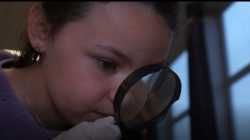 Panique à Saint-Vaast