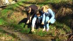 Ruisseau Revu Validé