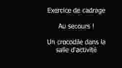 crocrodile muet